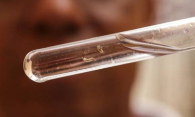 portal plural brasil passa de 4 milhões de casos de dengue; mortes chegam a 1.937