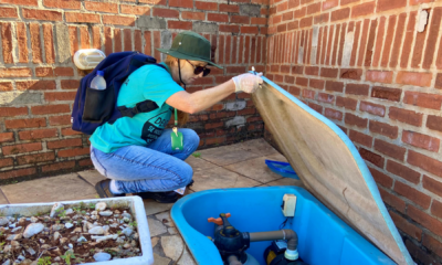 portal plural prefeitura de santa rosa realiza ações contra a dengue