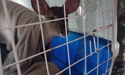 445793485 1236426667495259 3700906427671068638 n