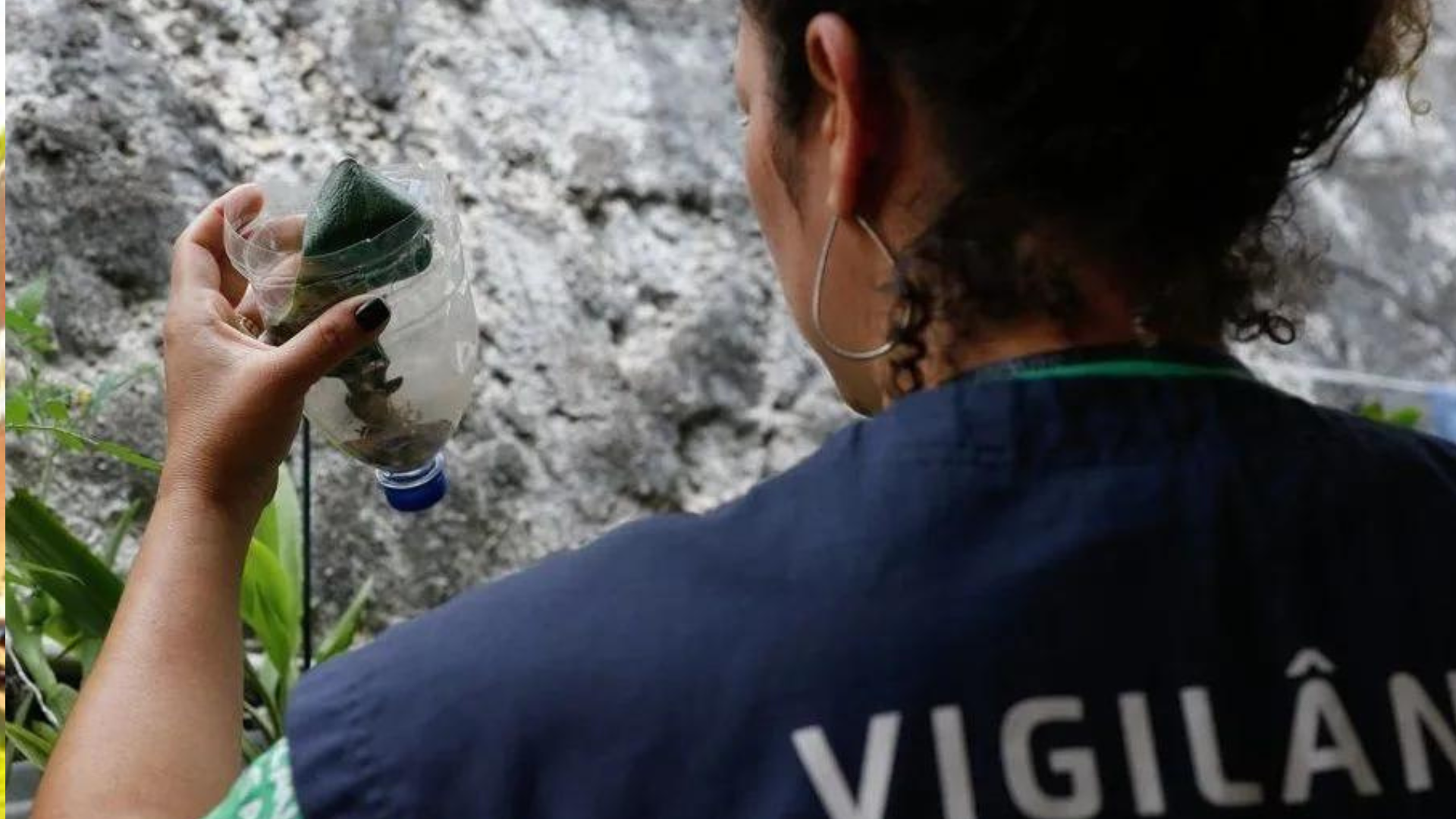 portal plural ccj do senado vota sobre entrada de agentes de saúde em imóveis abandonados nesta quarta (29)