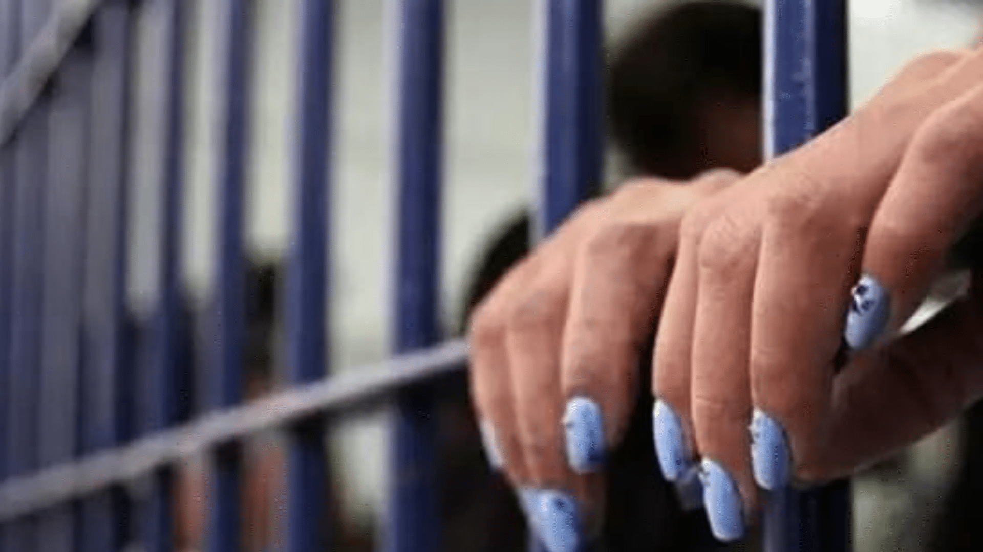 portal plural senado aprova projeto que cria área específica em presídios para população lgbtqia+