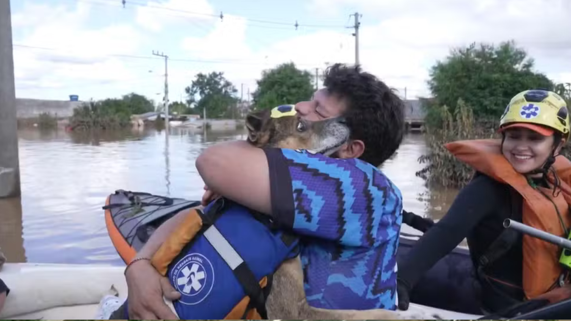 portal plural voluntário se emociona ao encontrar o próprio cão ilhado em novo hamburgo 'meu cachorro tá ali'
