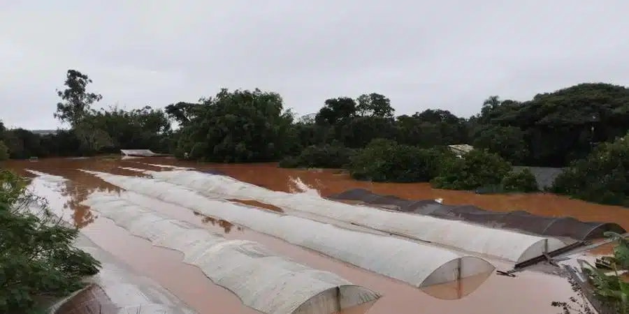 de36dea0 2830 45b6 87dd 7d8cc35ac584