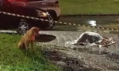 448639340 864339812393321 5981458936996192795 n