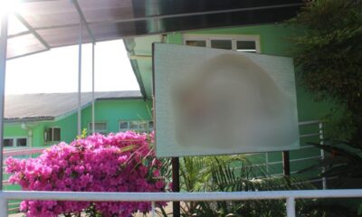 copia de apresentacao de vendas para aplicativo de fitness para pet em laranja e amarelo profissional gradiente 2 1536x864 1