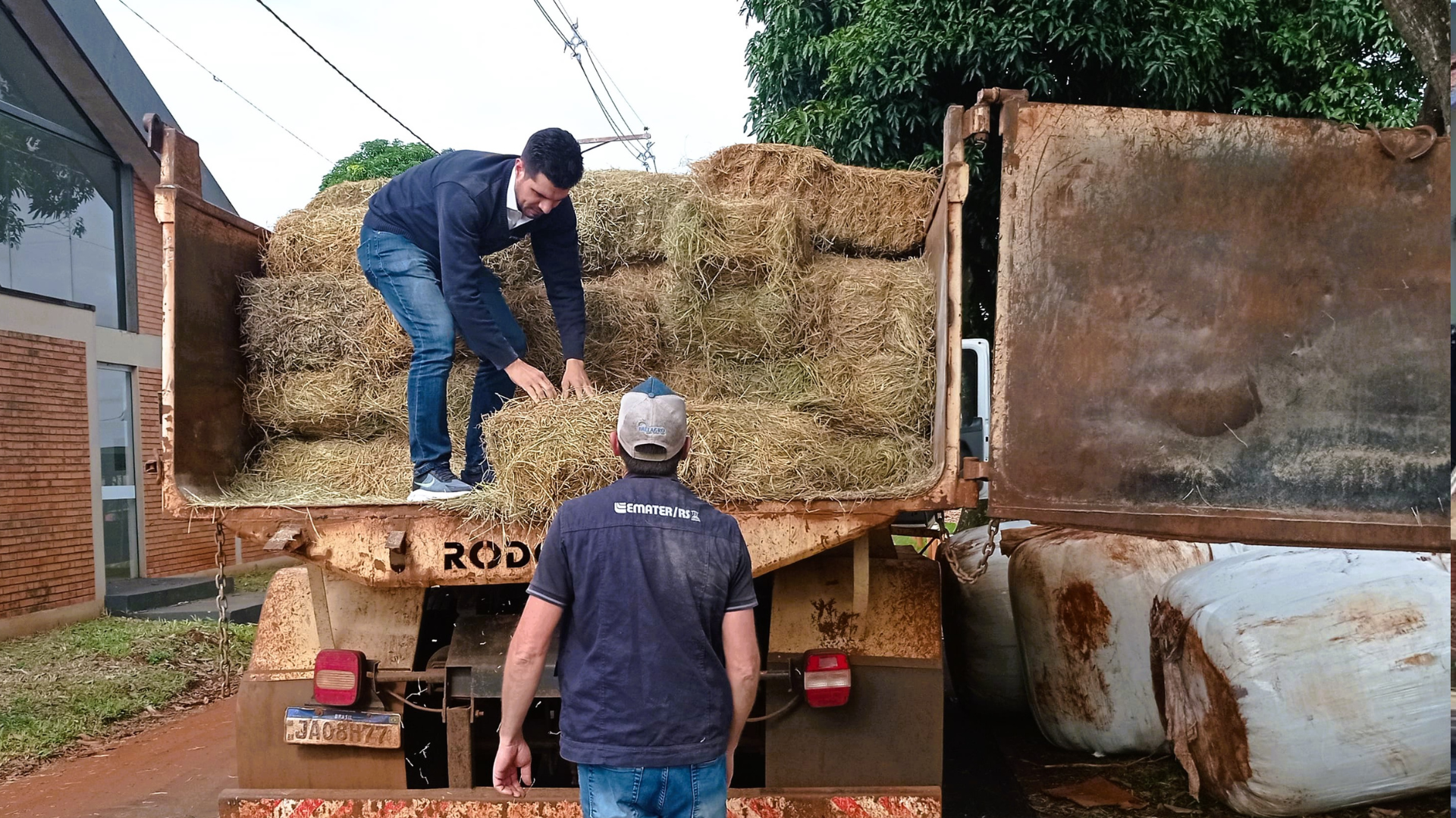 portal plural agricultores do noroeste gaúcho doam mais de 50 toneladas de feno à região central
