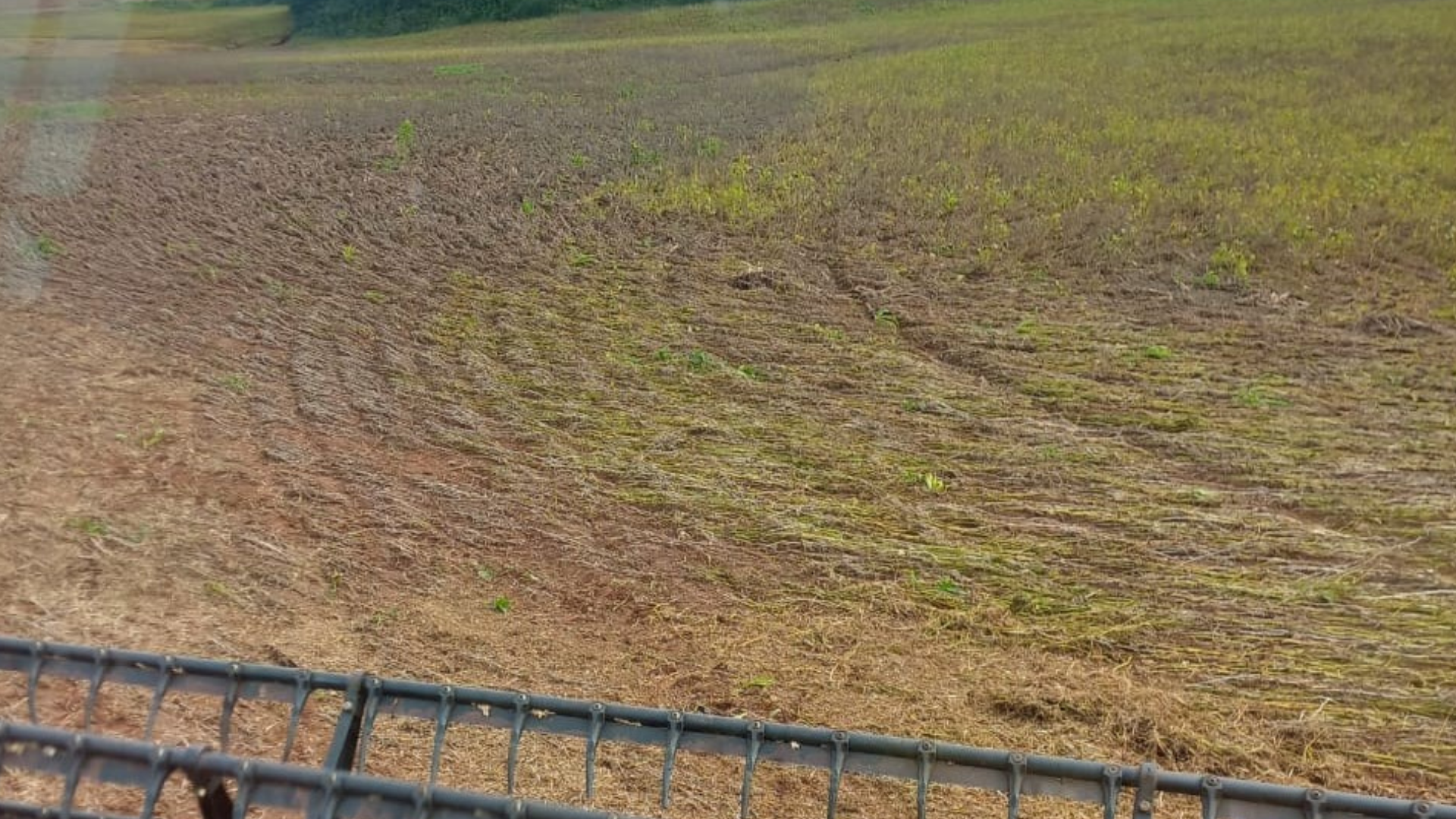 portal plural colheita da soja é concluída em parte do rs