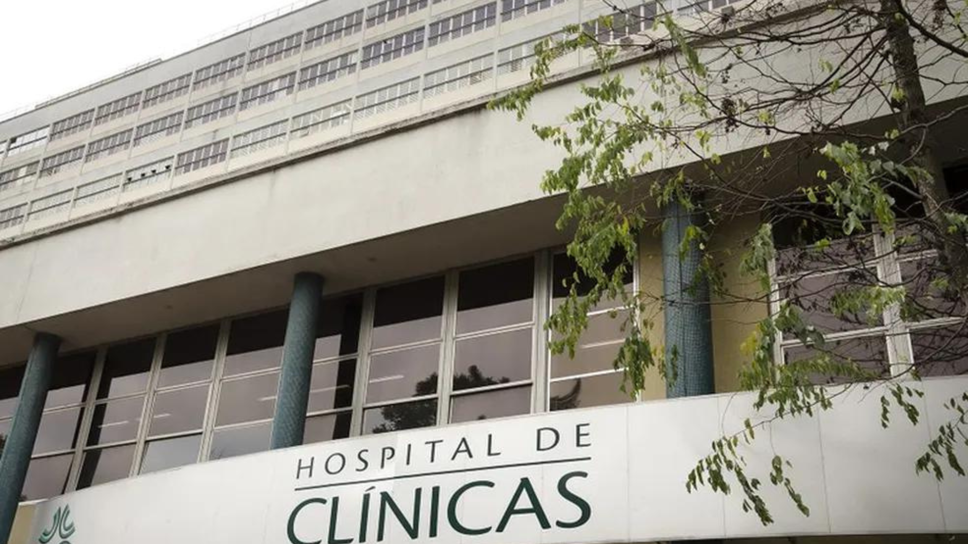 portal plural com pesquisa no rs, medicamento para combater gordura no fígado entra em fase final de testes