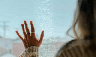 portal plural inverno começa na sexta feira; saiba o que esperar da nova estação