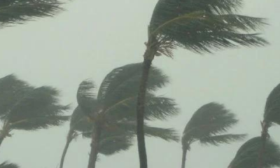 portal plural la niña tem 65% de chance de ocorrer de julho a setembro, dizem eua