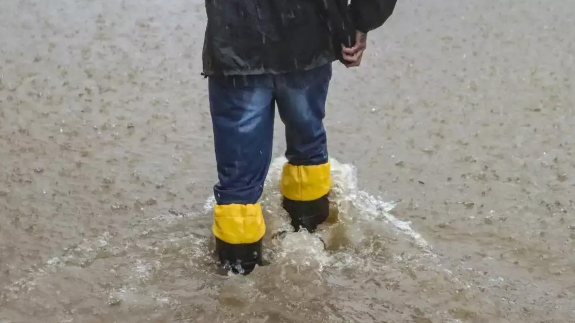 portal plural rs tem 8 mortes confirmadas por leptospirose e outras 12 sob investigação