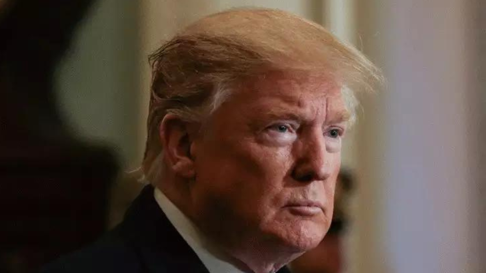 portal plural trump sugere “green card automático” para estrangeiros formados em universidades dos estados unidos