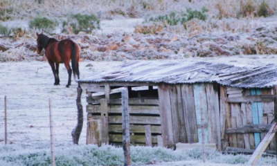portal plural em primeira onda de frio do inverno, rs tem previsão de temperaturas negativas e geada até início de julho