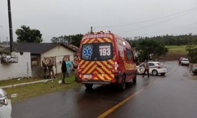 cotidiano trabalhador cai em terreno e morre apos ser atacado por pitbulls 2 753