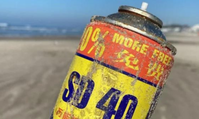 portal plural a pandemia invisÍvel do lixo oceÂnico 😓i lixos de países como África e malásia são encontrados no litoral gaúc