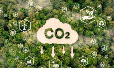 portal plural com carbono, brasil entra na era das multi safras