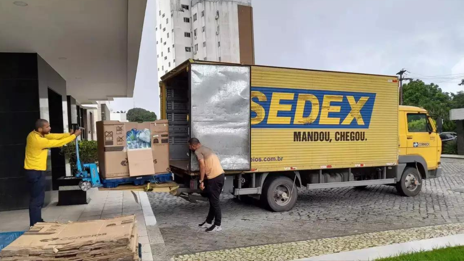 portal plural correios doam mais de 21 mil livros para abastecer bibliotecas no rio grande do sul