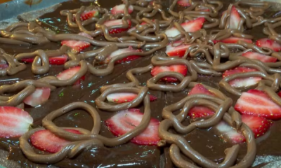 portal plural dia da pizza saiba como é a ciência por trás das massas e variedades de recheios