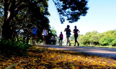 portal plural dores na lombar podem ser aliviadas com caminhadas
