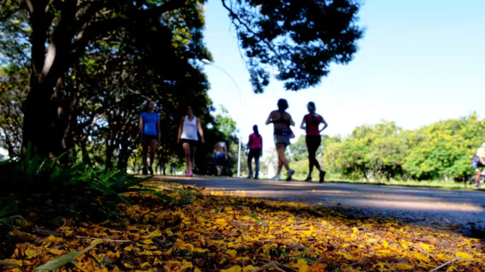 portal plural dores na lombar podem ser aliviadas com caminhadas