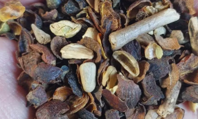 portal plural governo divulga lista de marcas de café impróprias para consumo