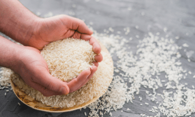 portal plural ministro da agricultura diz que brasil não precisa mais de leilão de arroz, apenas incentivo à produção nacional