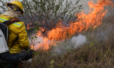 portal plural mulher se torna bombeira após perder seu filho em incêndios no pantanal