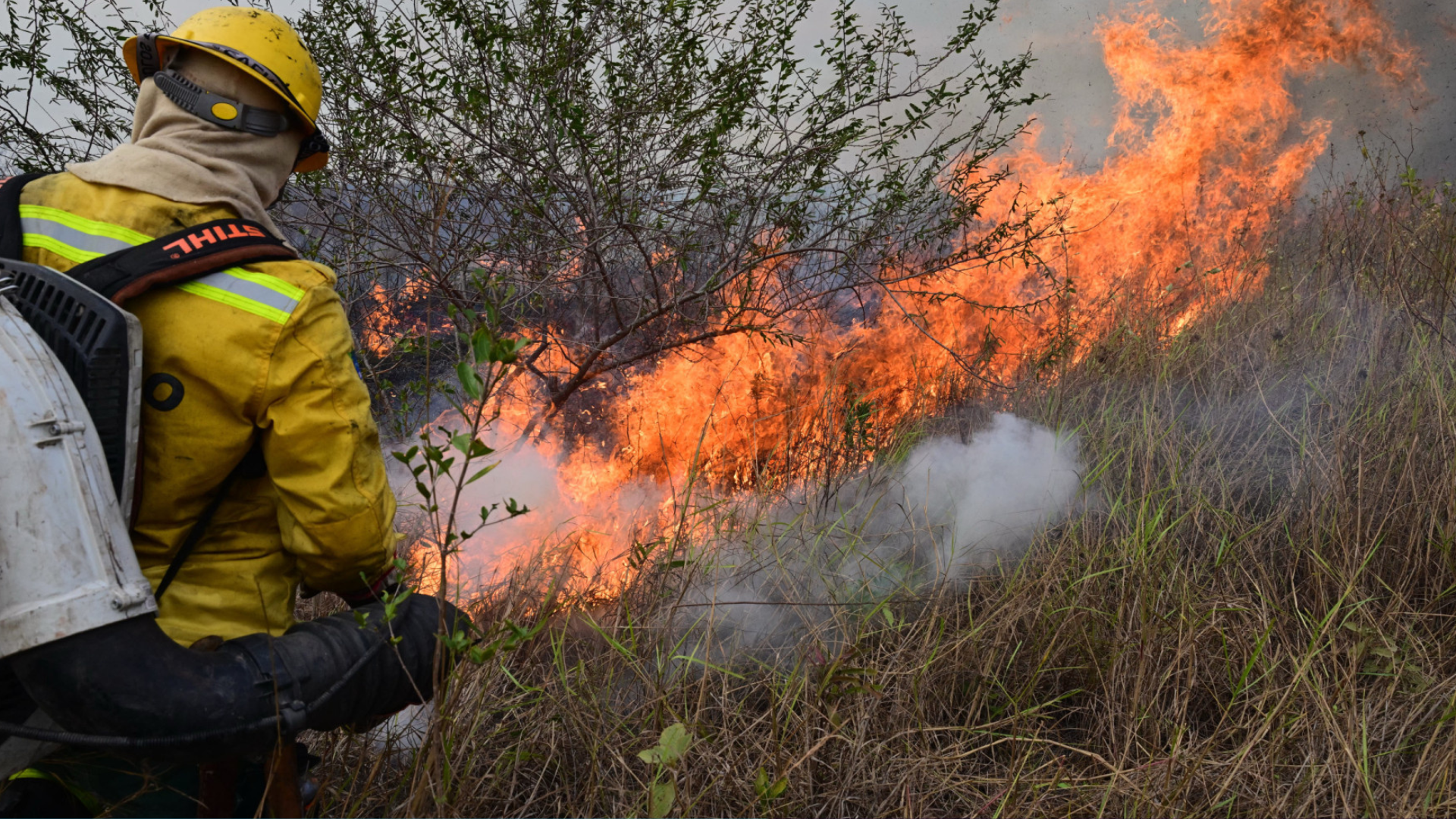 portal plural mulher se torna bombeira após perder seu filho em incêndios no pantanal