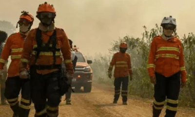 portal plural pantanal fogo já destruiu área 6 vezes maior que o rio de janeiro