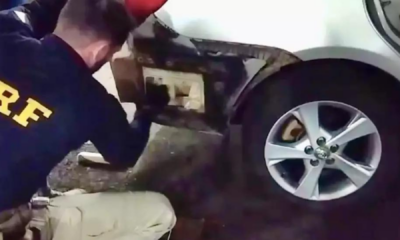 portal plural paraguaio é preso com 200 quilos de maconha no rio grande do sul