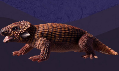 portal plural pesquisadores revelam nova espécie de pararréptil que habitou o rs há 230 milhões de anos