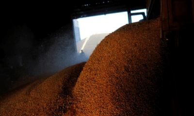 portal plural plano safra