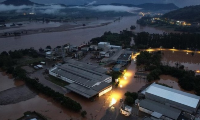portal plural programa federal de apoio a empregos nega 67% dos pedidos empresariais