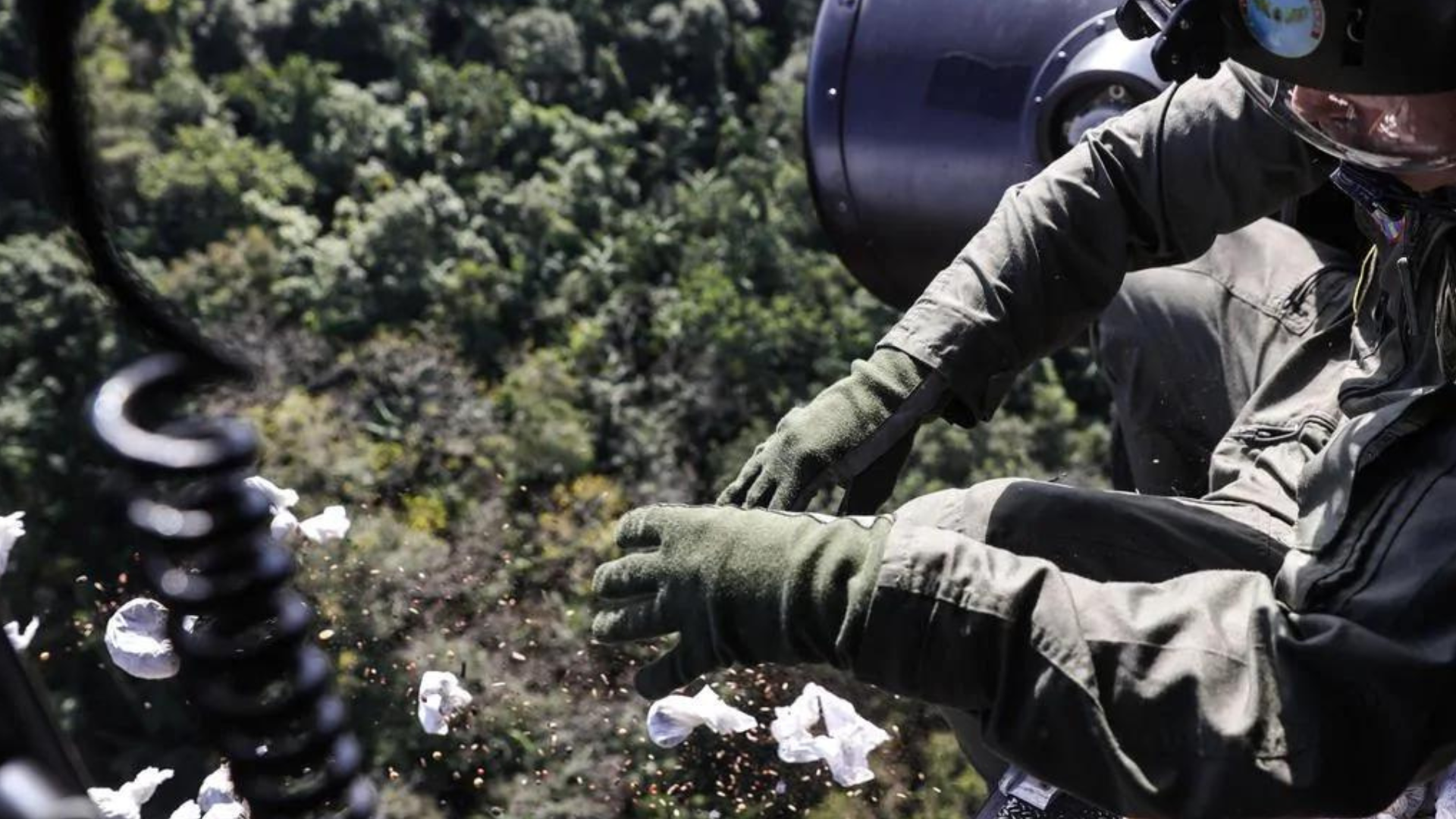 portal plural projeto planta mudas e lança sementes de helicóptero em áreas afetadas por enchentes no vale do taquari