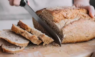 portal plural quanto de pão você pode comer sem engordar estudo de harvard tem a resposta