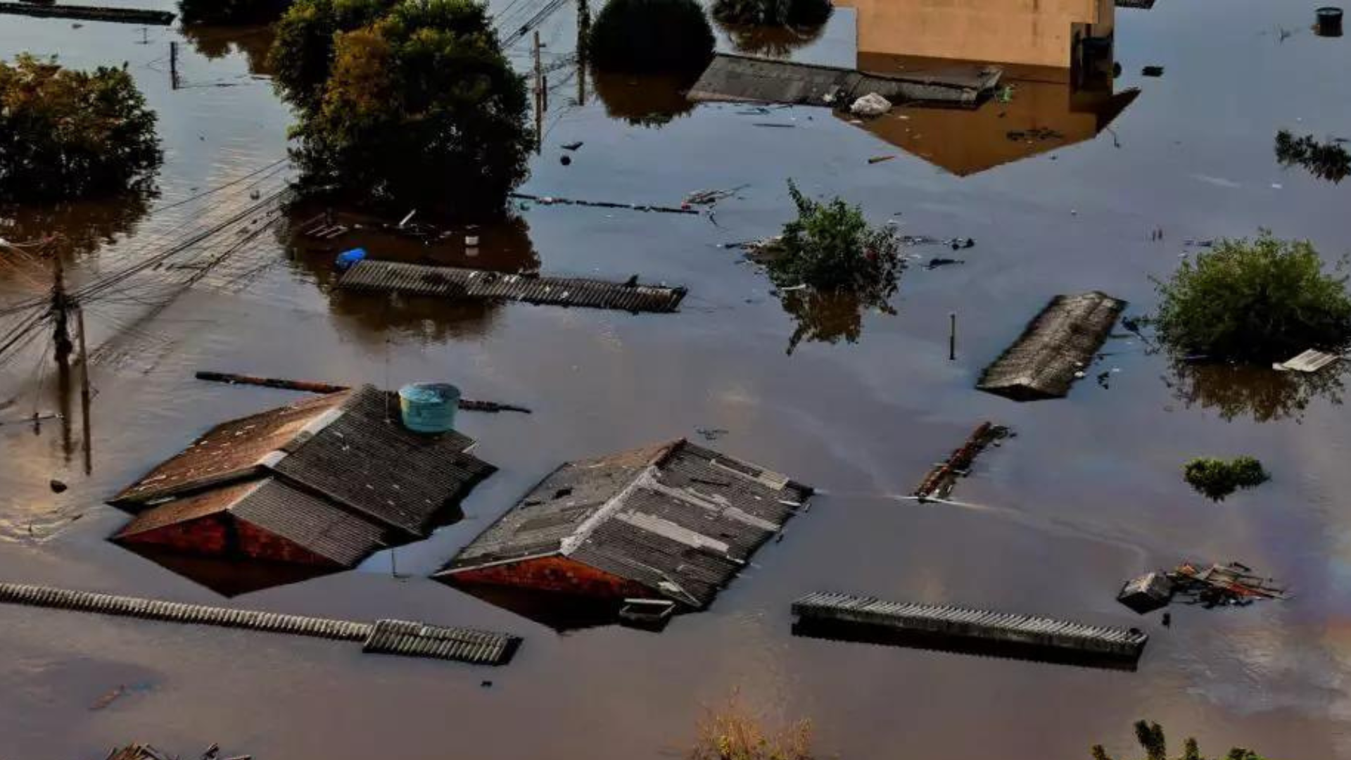 portal plural sobe para 26 o número de mortes por leptospirose em razão das enchentes de maio no rio grande do sul