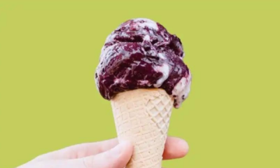portal plural sorvetes brasileiros são destaques em lista dos 100 melhores do mundo