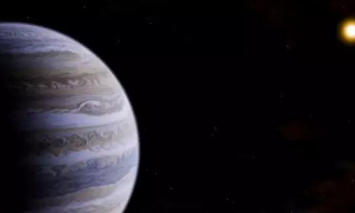 portal plural telescópio james webb flagra planeta que leva 100 anos para dar volta em sua estrela