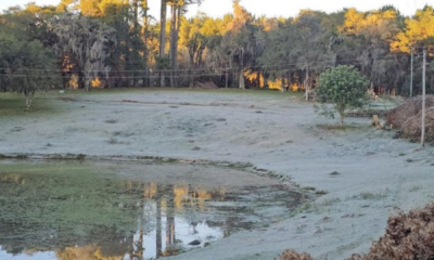 portal plural vacaria registra a menor temperatura do estado; termômetros marcaram 2,7ºc