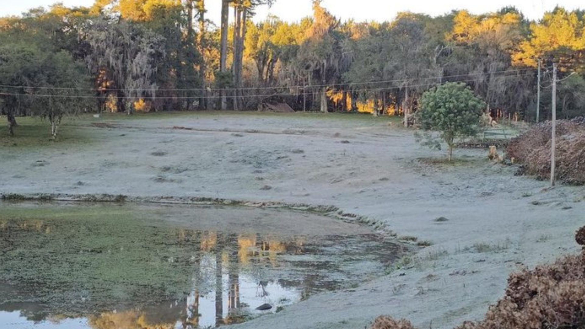 portal plural vacaria registra a menor temperatura do estado; termômetros marcaram 2,7ºc