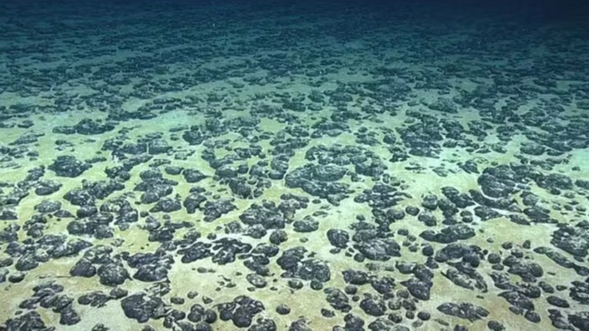 portal plural ‘oxigênio negro’ no fundo do mar surpreende cientistas e põe em questão teorias sobre origem da vida