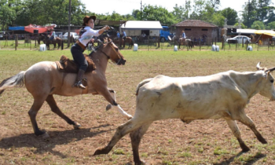 portal plural rodeio crioulo em santa rosa três dias de tradição e r$ 50 mil em prêmios