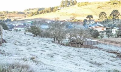 whatsapp image 2024 07 09 at 17.15.06