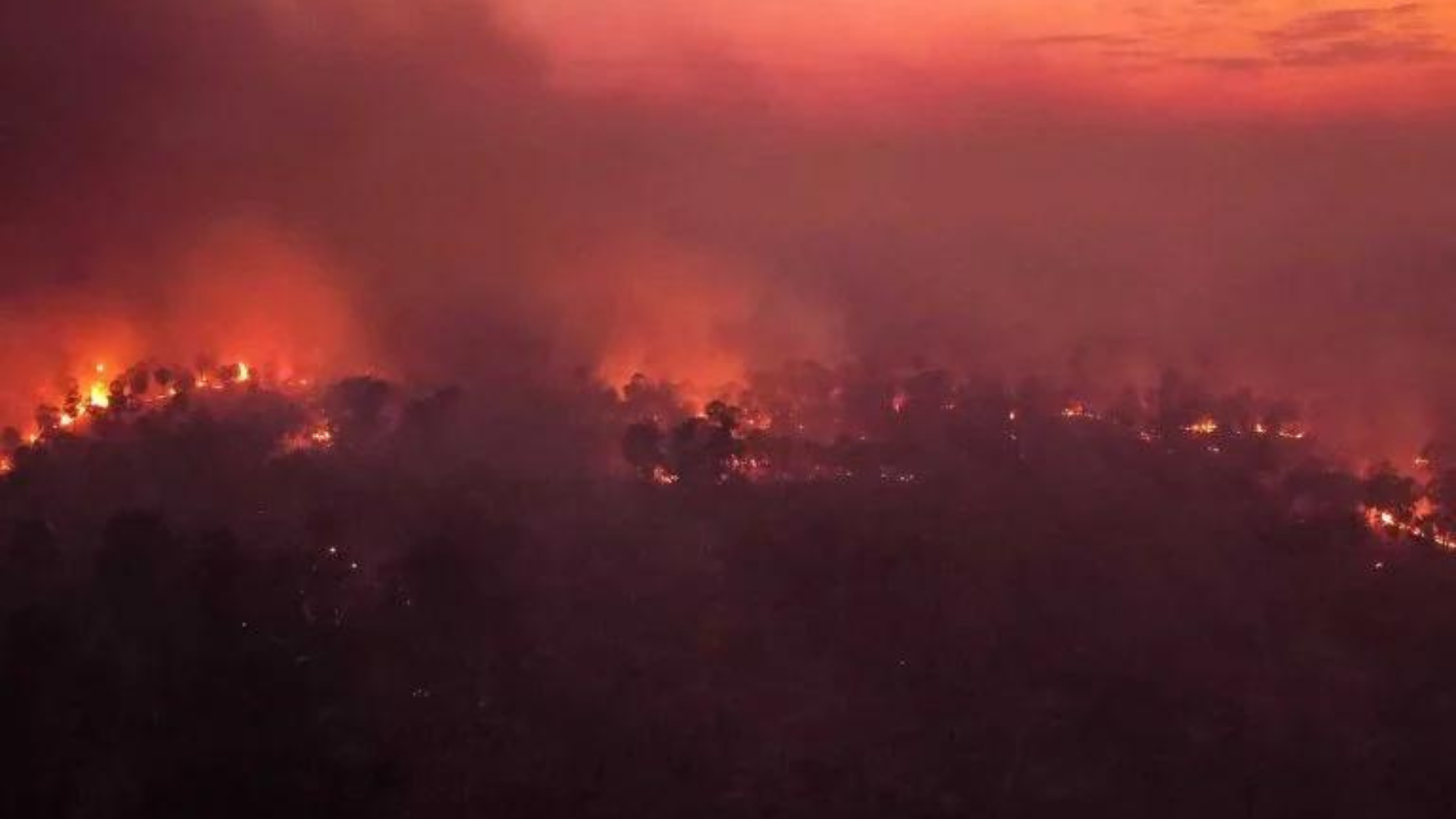 portal plural 5 tecnologias que podem ajudar no monitoramento e combate a incêndios