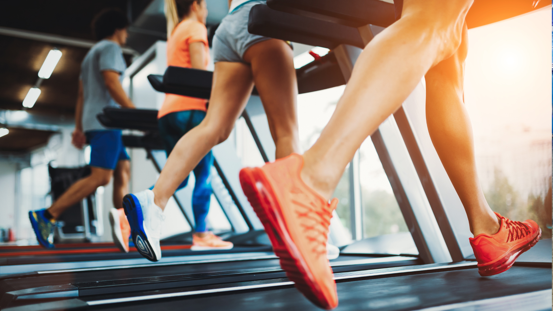 portal plural cardio antes ou após a musculação descubra o momento mais adequado
