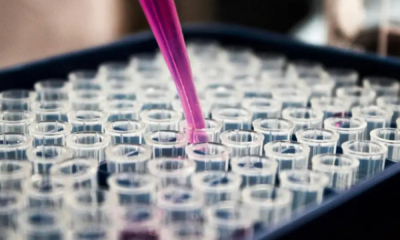 portal plural estados das regiões sudeste e sul dominam índice nacional de inovação