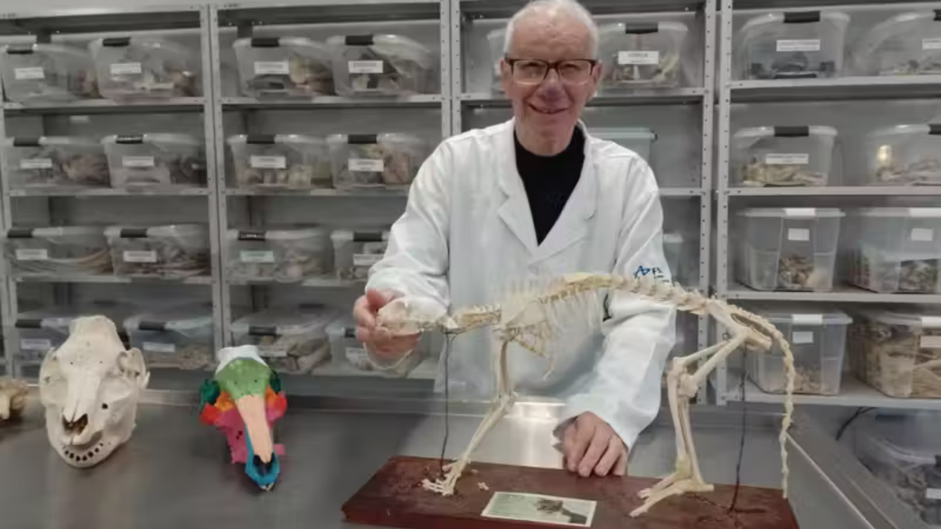 portal plural idoso de 81 anos se forma em veterinária após “um sonho”