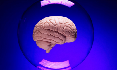 portal plural o estouro da bolha da ia e a falácia de um futuro sem futuro