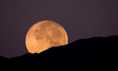 portal plural superlua azul veja como ver fenômeno que acontece nesta segunda feira (19)