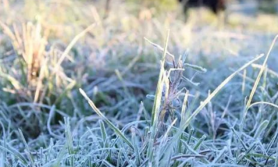 portal plural alerta de frio intenso é emitido para santa rosa e todo o rio grande do sul